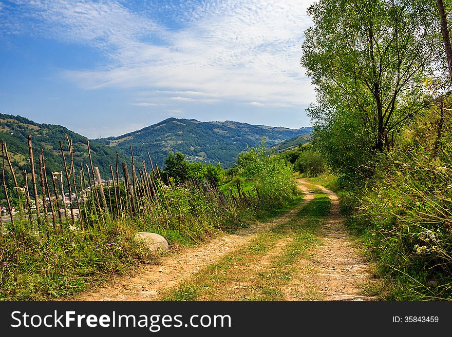 Empty ground mountain road with near the forest with cloudy sky in morning light. Empty ground mountain road with near the forest with cloudy sky in morning light