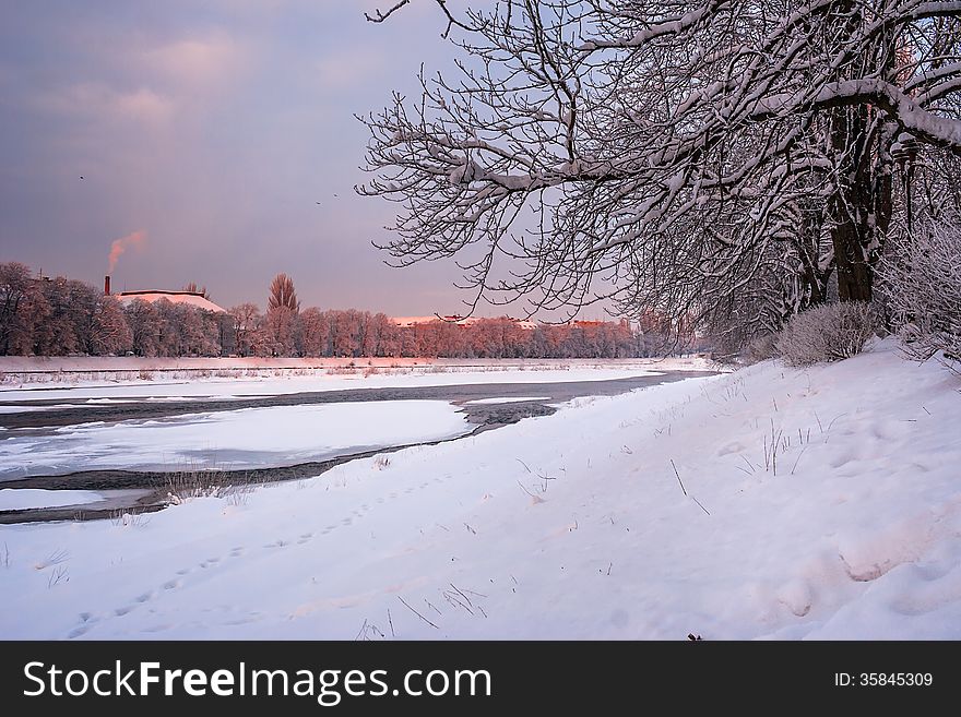 Bank of the river with trees covered with rime on a winter morning. Bank of the river with trees covered with rime on a winter morning