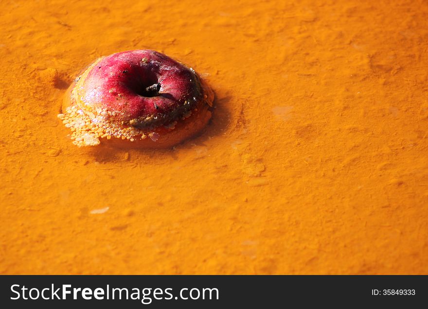 Red apple in toxic water