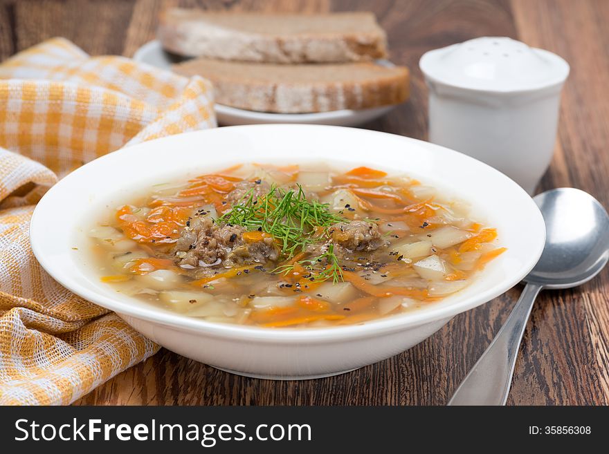 Delicious vegetable soup with meatballs, horizontal