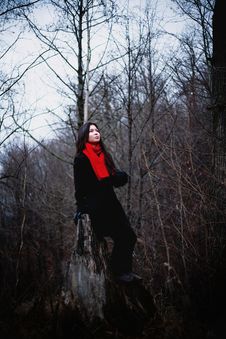 Woman In Black Coat And Red Scarf Sitting In Cold Dark Forest Stock Photo Woman In Black Coat And Red Scarf Sitting In Cold Dark Forest Stock Photo