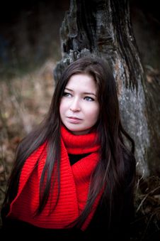 Portrait Of Woman In Red Scarf With Long Brunette Hair In Cold Dark Forest Royalty Free Stock Images Portrait Of Woman In Red Scarf With Long Brunette Hair In Cold Dark Forest Royalty Free Stock Images