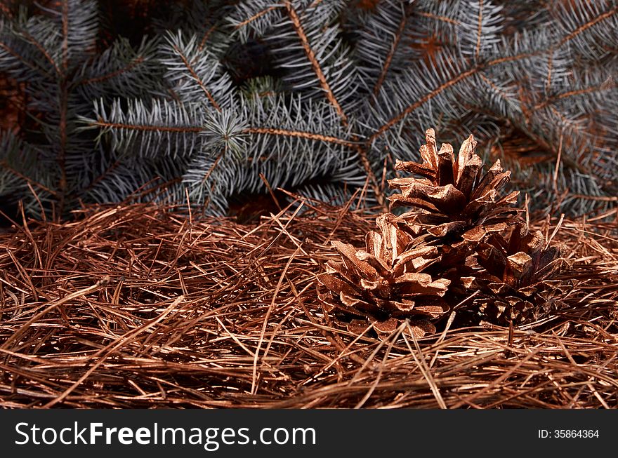 New Year`s composition of a pine cones and pine needles