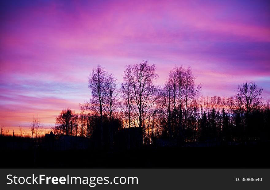 Pink And Blue Sunset Landscape