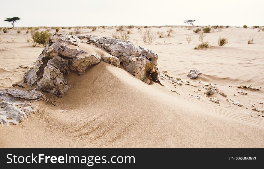 Rocks and desert