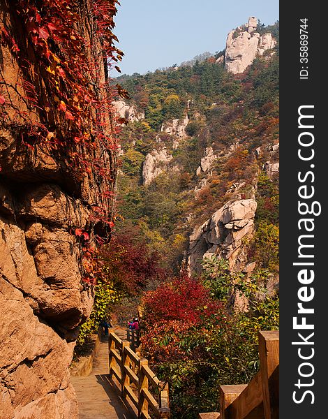 Laoshan Mountains Beautiful Autumn Scenery Of China