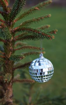 Mirror Ball Hanging On A Christmas Tree Branch Stock Photography