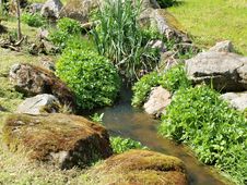 Still Life In The Creek , South Bohemia Still Life In The Creek , South Bohemia