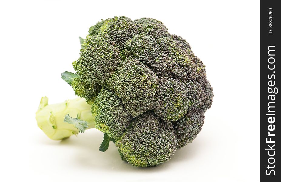 Broccoli isolated on white background