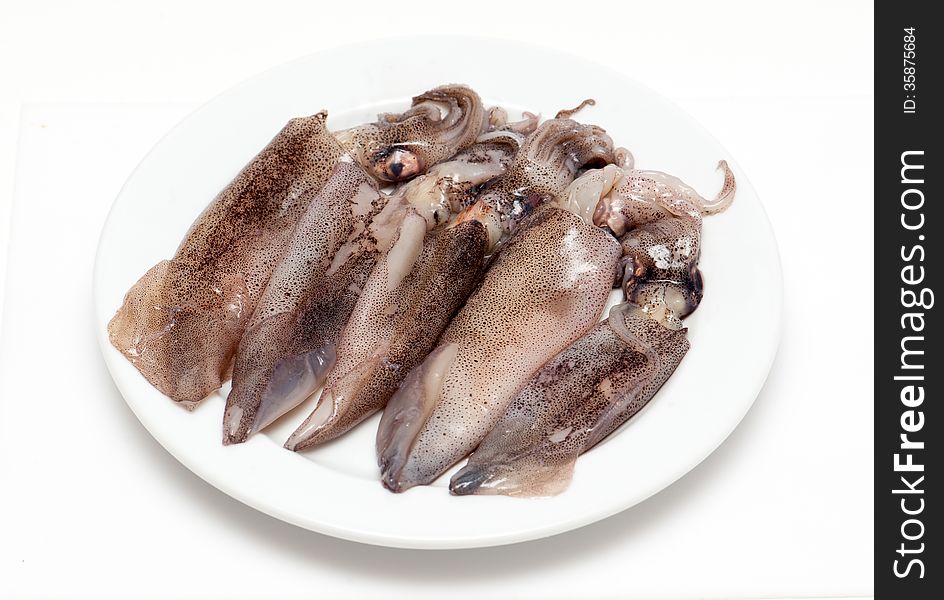 Fresh Calamari