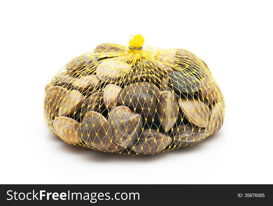 Clams isolated on a white background in the grid