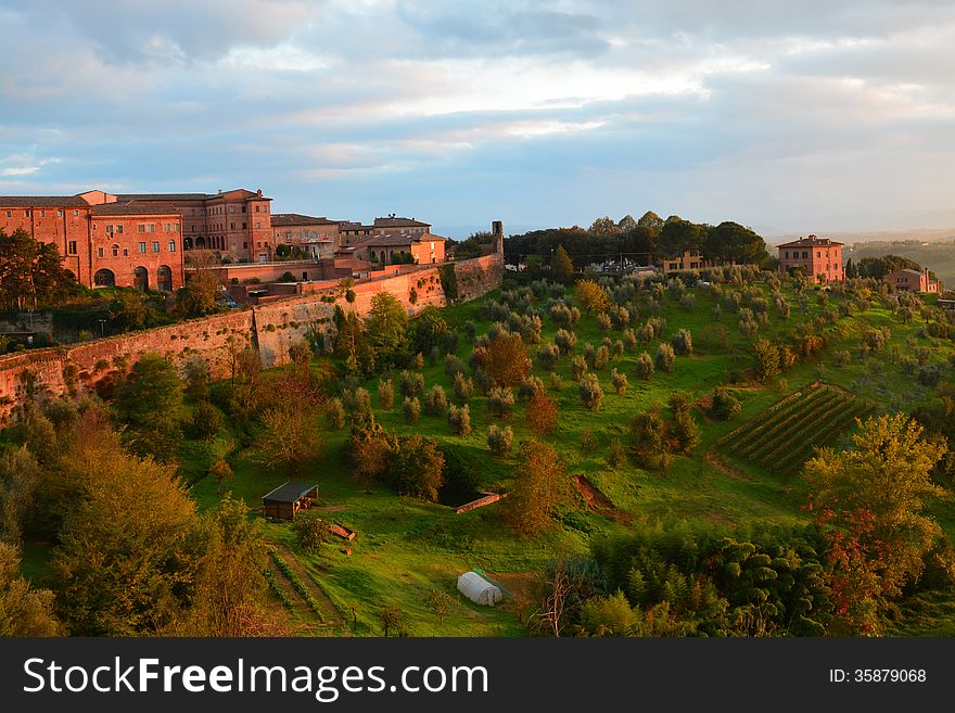 Siena Countryside