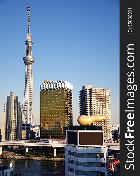 Tokyo Sky Tree Viewed From Asakusa Skyscraper, Tokyo, Japan.