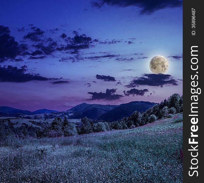 Coniferous forest on a steep mountain slope at night;. Coniferous forest on a steep mountain slope at night;