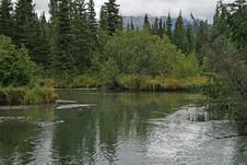 Alaska Stream Royalty Free Stock Photo