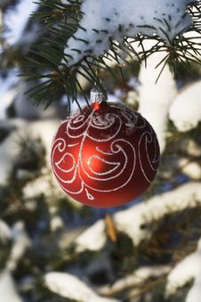 Christmas Tree Decoration 9 Royalty Free Stock Images Christmas Tree Decoration 9 Royalty Free Stock Images