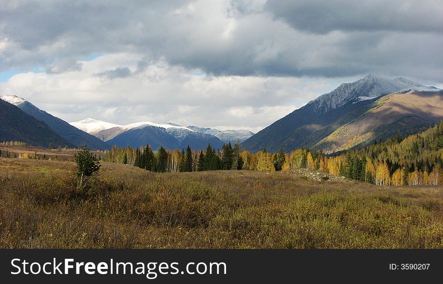 Snow mountains and colorful forest in fall. Snow mountains and colorful forest in fall