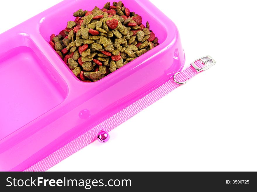 Bowl of pet food and water isolated.