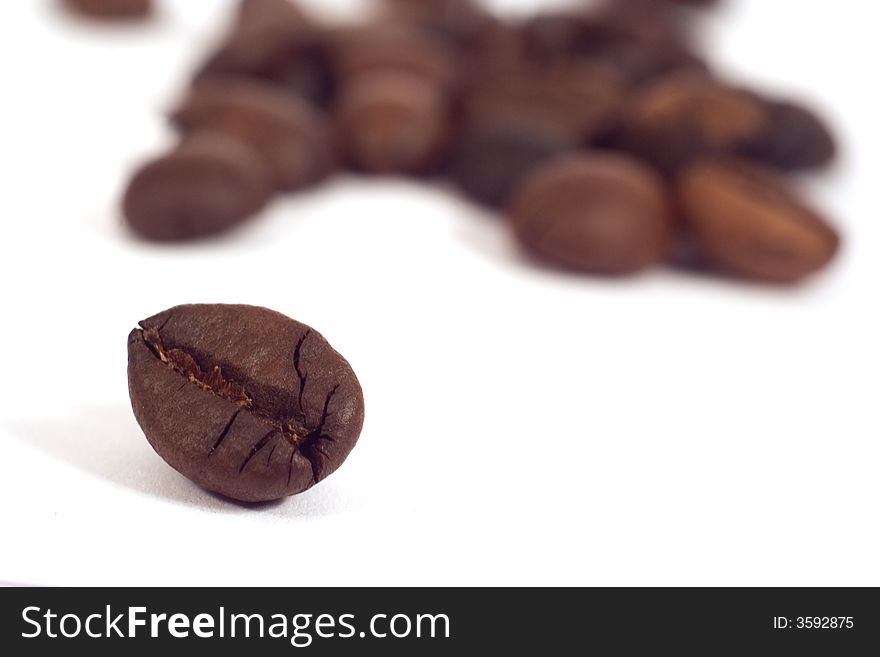 Coffee seeds