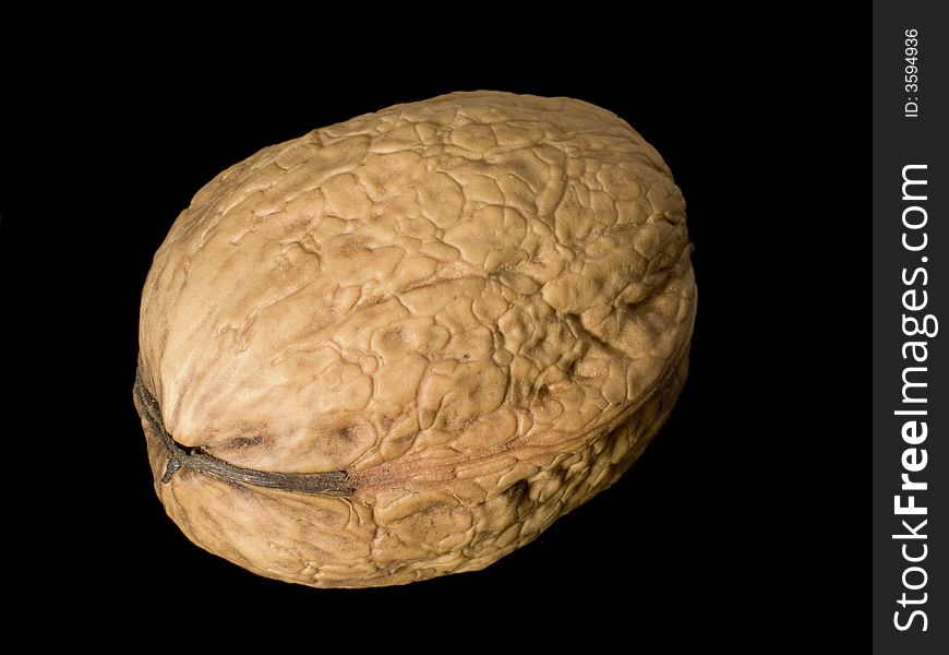 Closeup of a Walnut on a black background