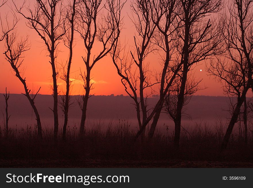 Sunrise behind trees early morning in autumn. Sunrise behind trees early morning in autumn.