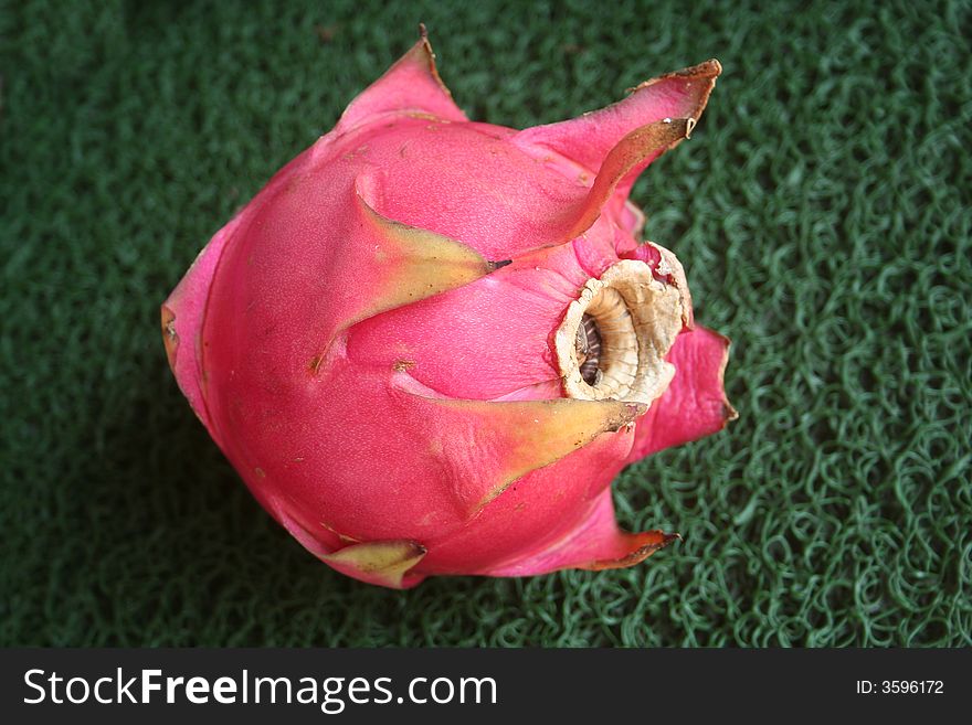 Dragon fruit