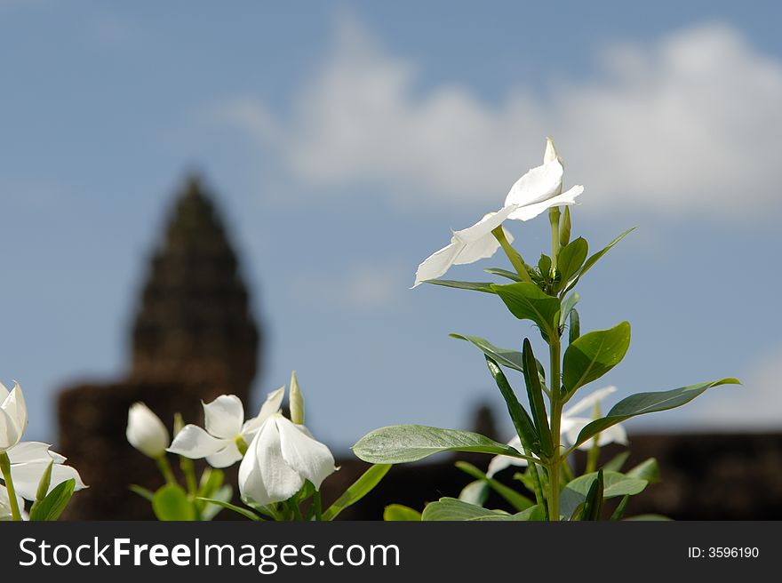 Flower Temple, Bakong, Angkor, Cambodia