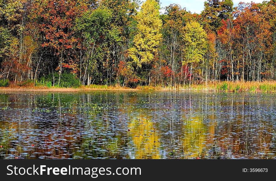 Beautiful autumn trees near lake side in michigan. Beautiful autumn trees near lake side in michigan