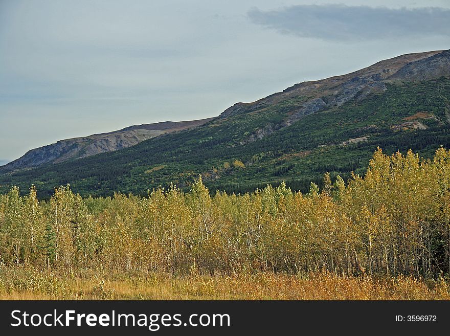 Scene outside of Fairbanks, Alaska. Scene outside of Fairbanks, Alaska