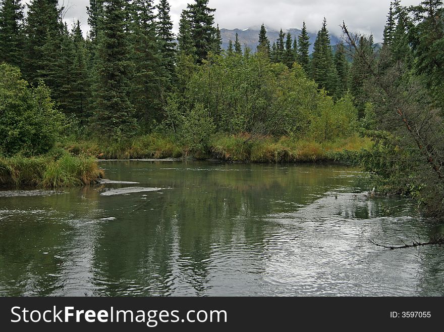 Nice stream running through Alaskan forest. Nice stream running through Alaskan forest.