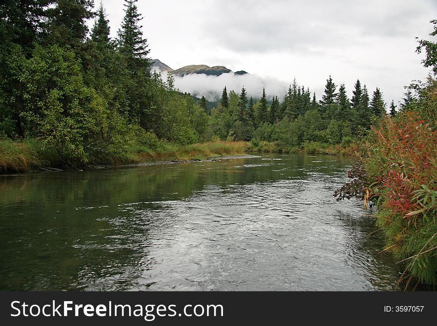 Nice stream running through Alaskan forest. Nice stream running through Alaskan forest.