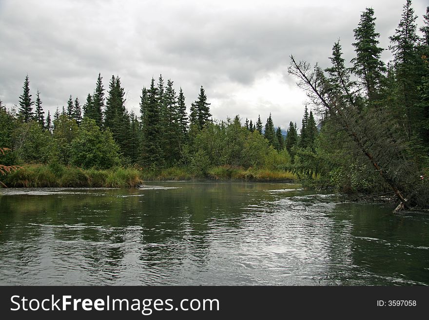 Nice stream running through Alaskan forest. Nice stream running through Alaskan forest.