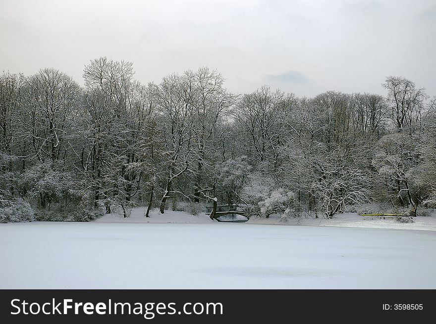 View on iced pond in snowy park