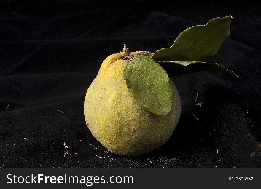 A quince on a dark background