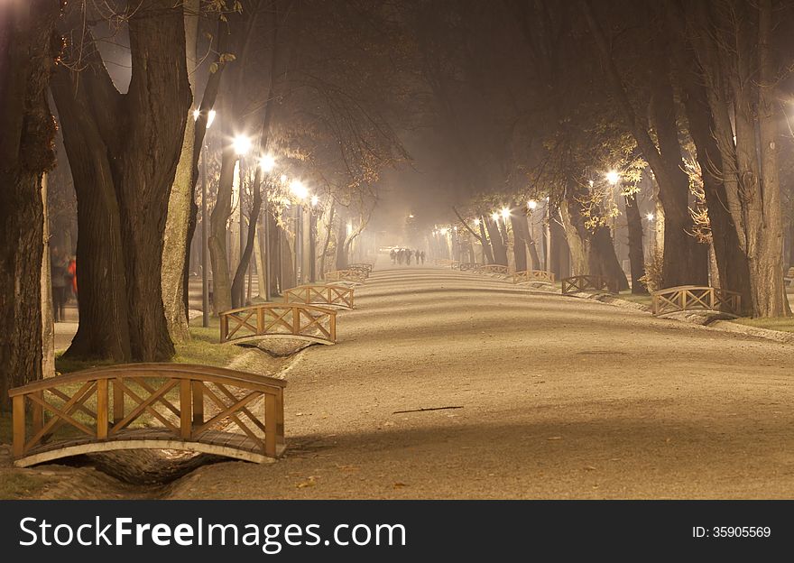 The avenue of city park, at night in a winter fog. The avenue of city park, at night in a winter fog