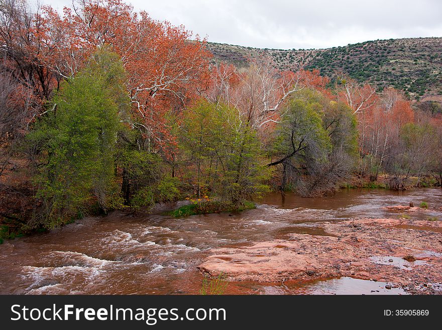 Falls colors on Oak Creek, at Page Springs Arizona