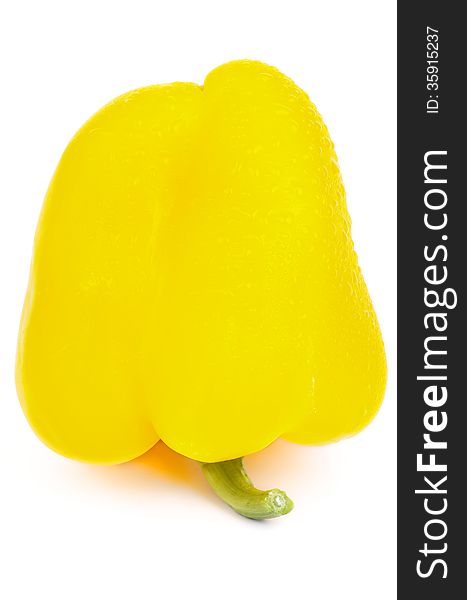 Big Ripe Yellow Bell Pepper with Droplets isolated on white background