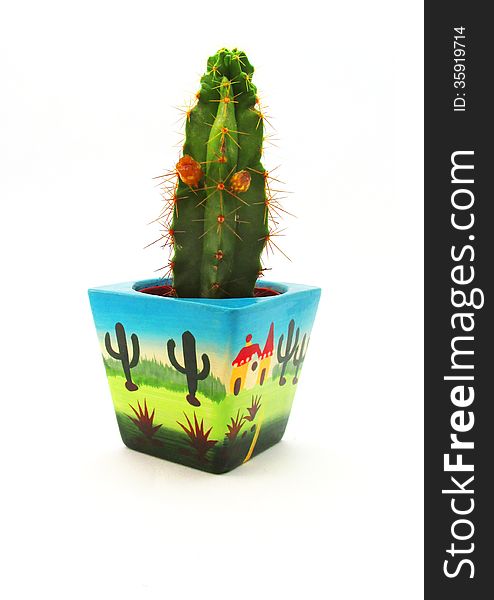 Single cute cactus in pot with two orange flowers on white background. Single cute cactus in pot with two orange flowers on white background