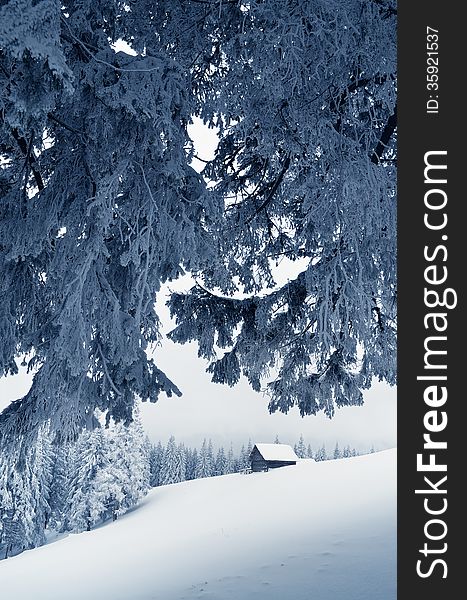 Winter landscape with a hut on the hill. Fir forest covered with snow. Carpathian mountains, Ukraine, Europe