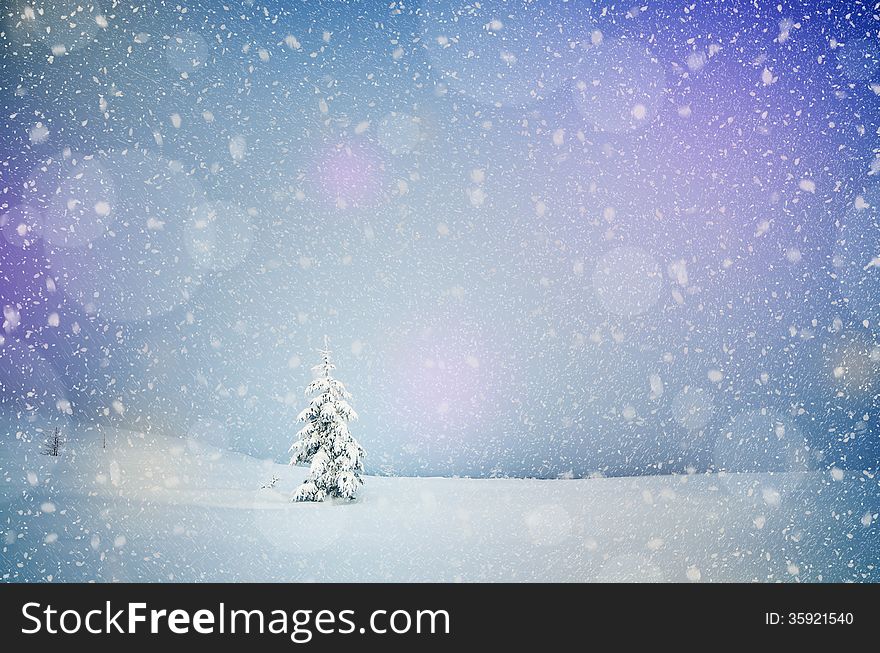 Winter landscape with snow-covered fir-tree in a lonely mountain valley. Christmas theme with snowfall. Winter landscape with snow-covered fir-tree in a lonely mountain valley. Christmas theme with snowfall