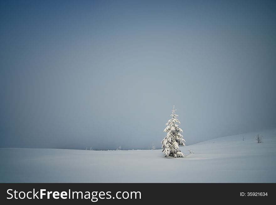 Winter landscape with snow-covered fir-tree in a lonely mountain valley. Christmas theme. Winter landscape with snow-covered fir-tree in a lonely mountain valley. Christmas theme