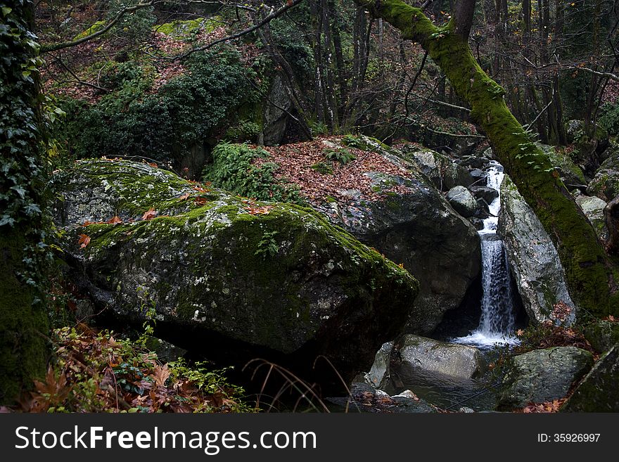 A small waterfall hidden in the wood under rocks and trees. A small waterfall hidden in the wood under rocks and trees