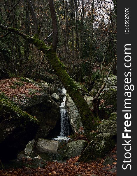 A small waterfall hidden in the wood under rocks and trees. A small waterfall hidden in the wood under rocks and trees