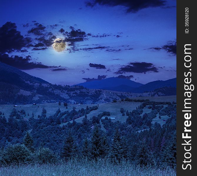 Coniferous forest on a far steep mountain slope at night. Coniferous forest on a far steep mountain slope at night