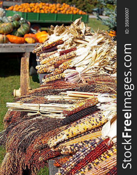 Dried indian corn sits on a wagon in autumn. A wagon full of pumpkins is in the background at this road side farmers stand. Dried indian corn sits on a wagon in autumn. A wagon full of pumpkins is in the background at this road side farmers stand.