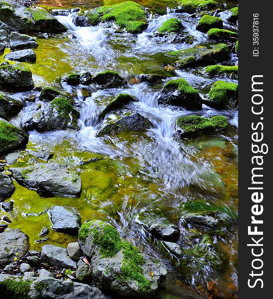 Mossy Rocks with flowing water in Muir Woods, CA. Mossy Rocks with flowing water in Muir Woods, CA.