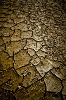 Mud Texture Stock Images Mud Texture Stock Images