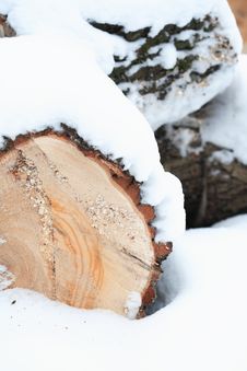 Timber In Snow Royalty Free Stock Images Timber In Snow Royalty Free Stock Images