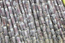 Chinese Bamboo In Detail; Bamboo Is Very Strong And Is Used To Fabricate Furniture, Rafts, Floors And Scaffoldings Stock Photo Chinese Bamboo In Detail; Bamboo Is Very Strong And Is Used To Fabricate Furniture, Rafts, Floors And Scaffoldings Stock Photo