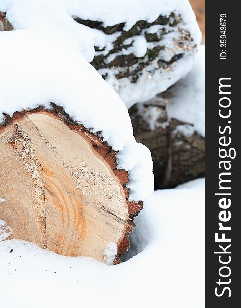 Closeup of converted timber under snow. Nice background. Closeup of converted timber under snow. Nice background